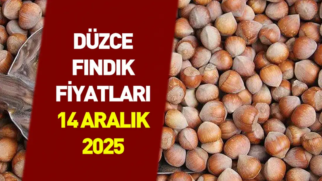 14 Aralık Düzce Fındık Fiyatları | Akçakoca Hattında Talep Güçleniyor