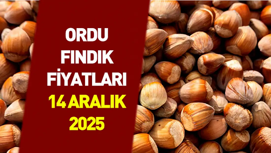 14 Aralık Ordu’da Fındık Fiyatları | İlçelerde Yeni Bant Oluştu, Üretici Satışa Kapalı