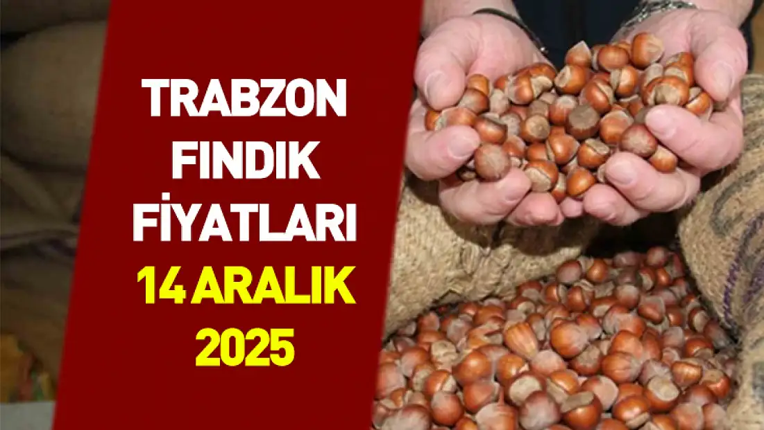 14 Aralık Trabzon’da Fındık Fiyatları | Sahil İlçeleri Öne Çıktı