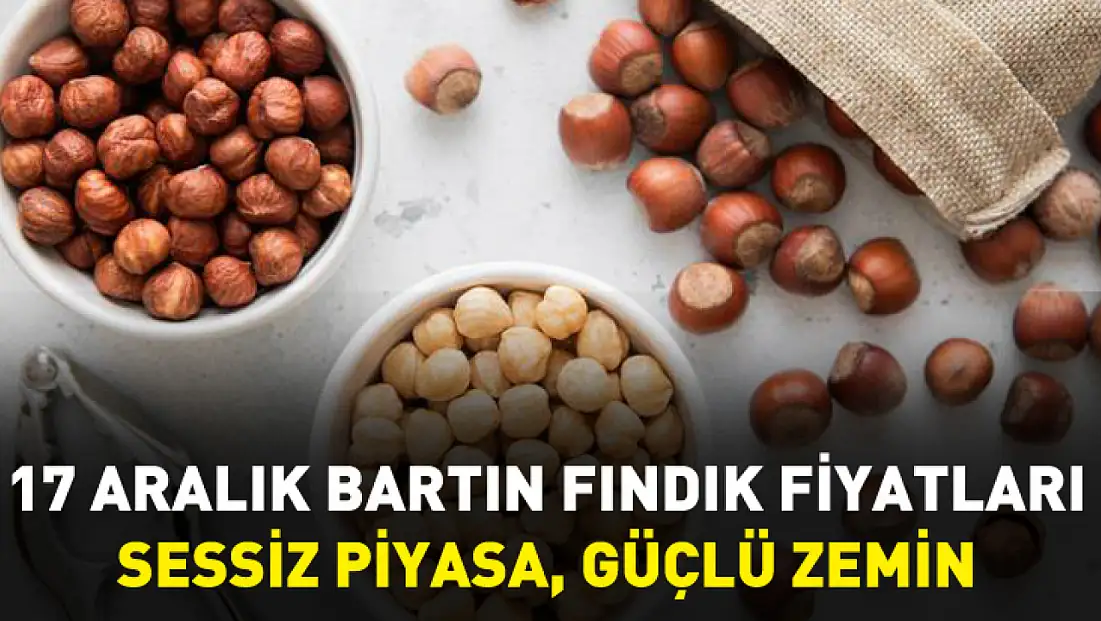 17 Aralık Bartın Fındık Fiyatları | Sessiz Piyasa, Güçlü Zemin