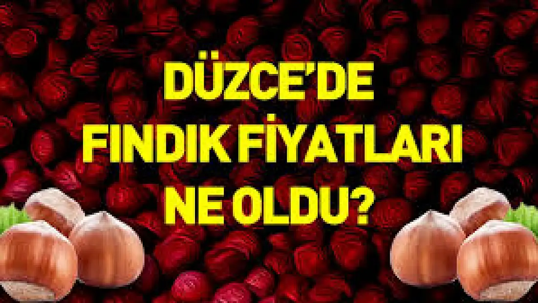 17 Aralık Düzce Fındık Fiyatları