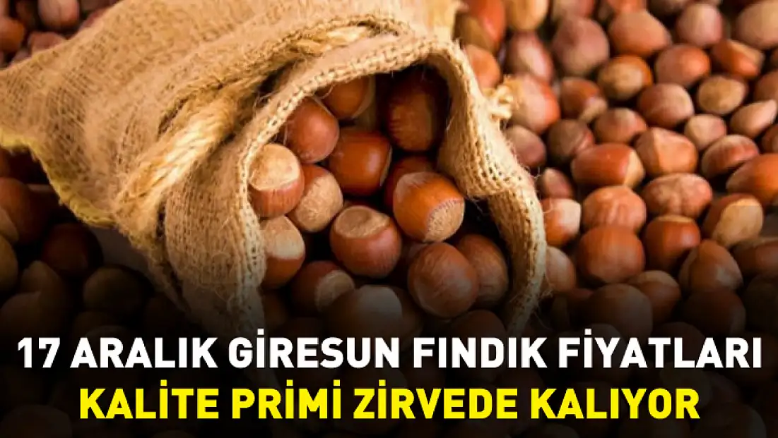 17 Aralık Giresun Fındık Fiyatları | Kalite Primi Zirvede Kalıyor