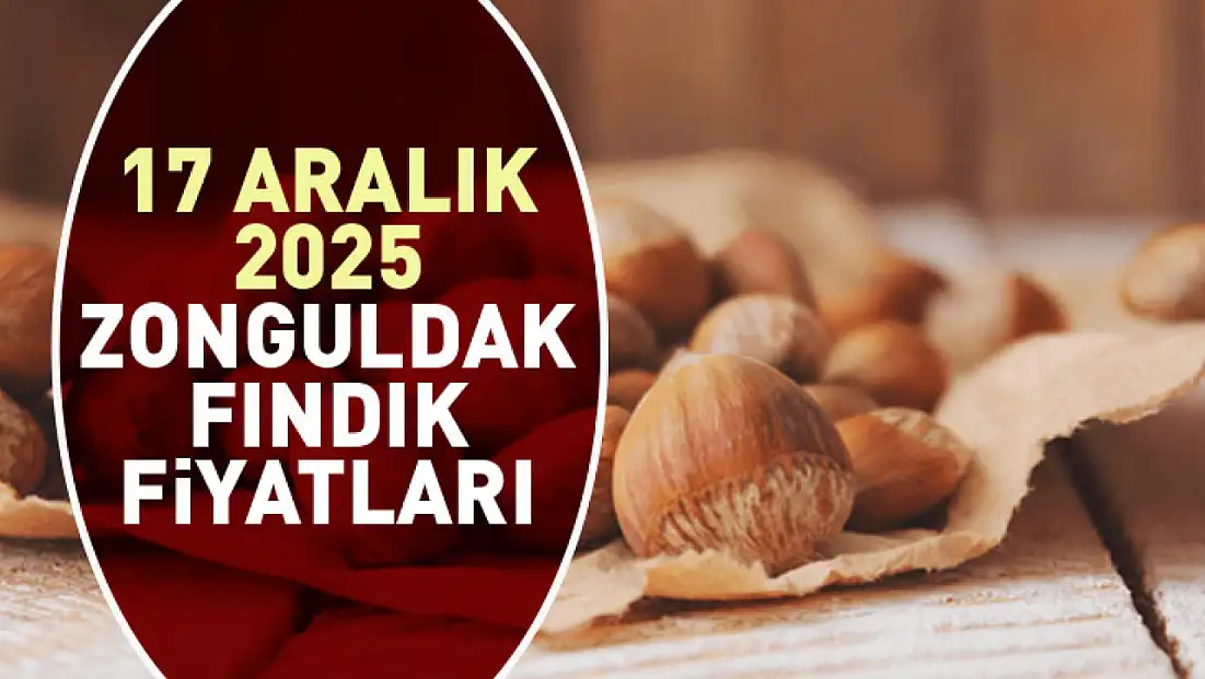 17 Aralık Zonguldak Fındık Fiyatları | Sınırlı Arz Piyasayı Hassas Tutuyor