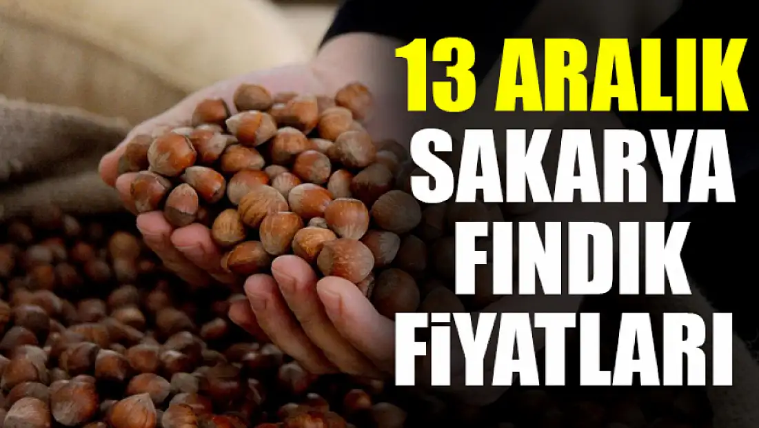 13 Aralık Sakarya Fındık Fiyatları