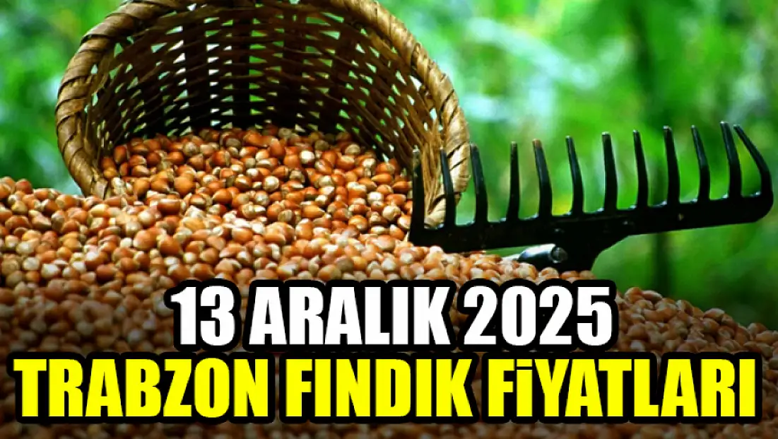 13 Aralık Trabzon Fındık Fiyatları
