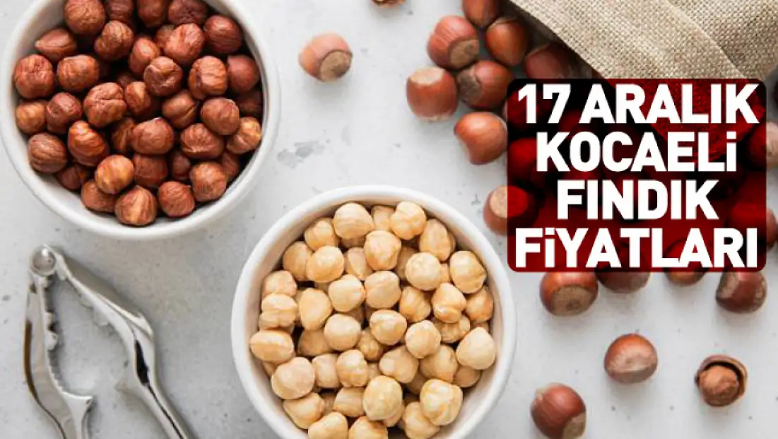 17 Aralık Kocaeli Fındık Fiyatları | Kandıra İç Piyasanın Nabzını Tutuyor