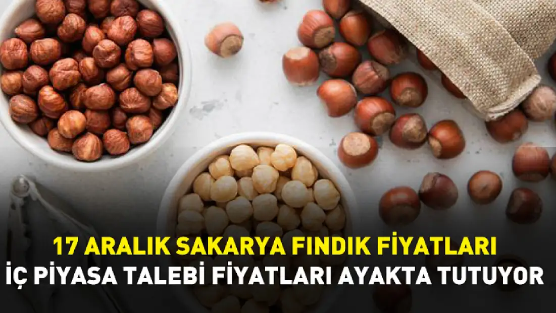 17 Aralık Sakarya Fındık Fiyatları | İç Piyasa Talebi Fiyatları Ayakta Tutuyor