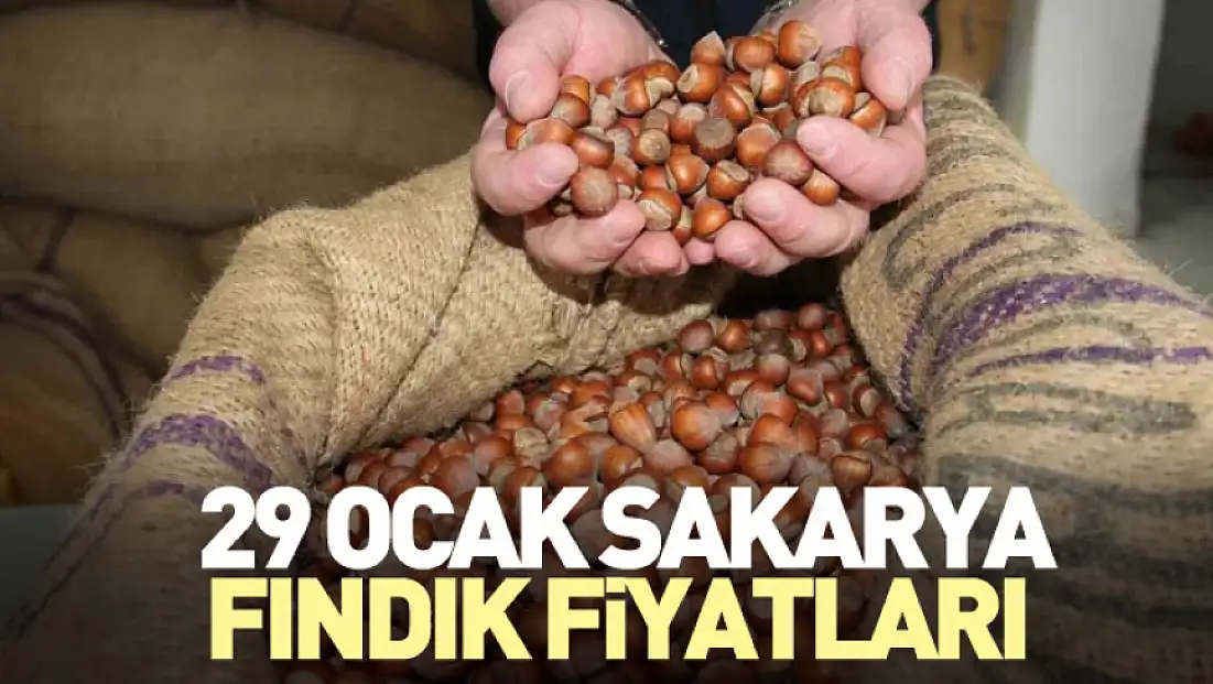 29 Ocak Sakarya Fındık Fiyatları