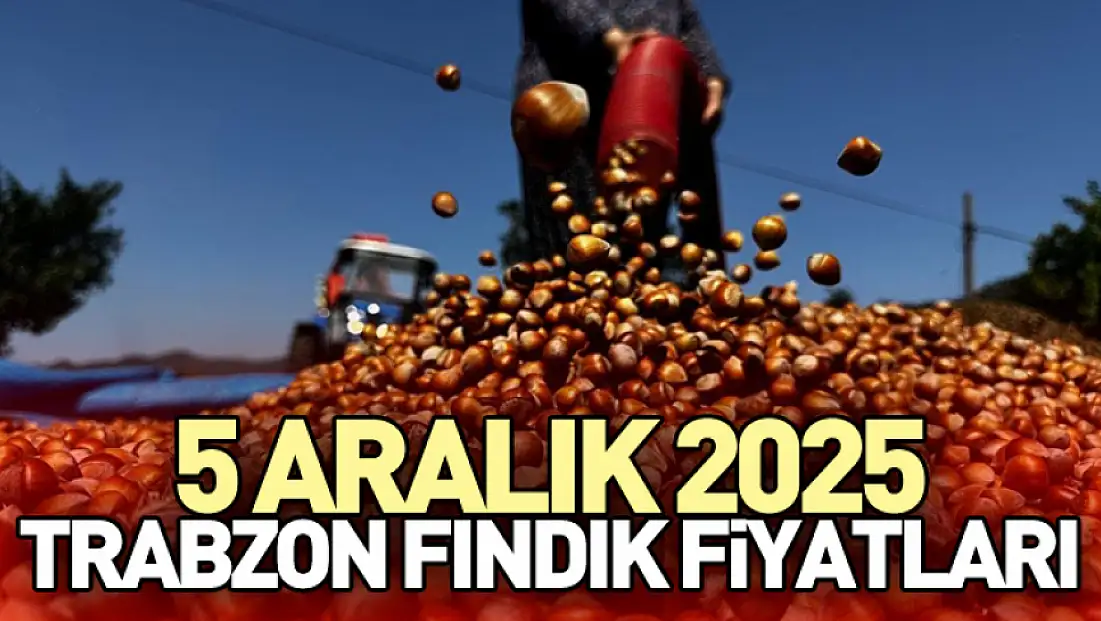5 Aralık 2025 Trabzon Fındık Fiyatları