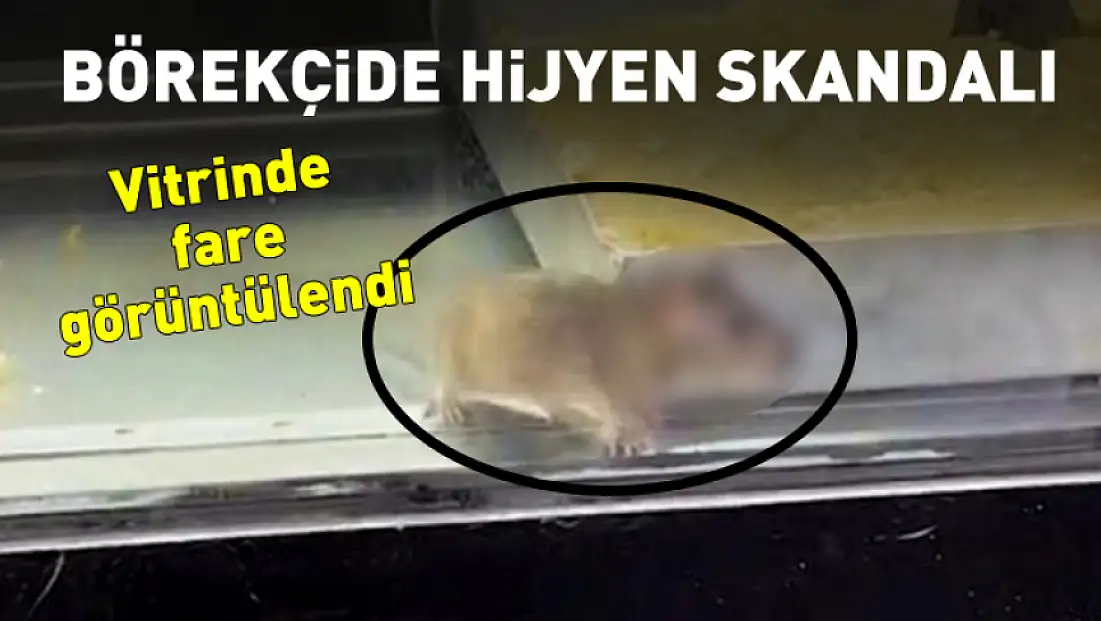 Börekçide hijyen skandalı: Vitrinde fare görüntülendi