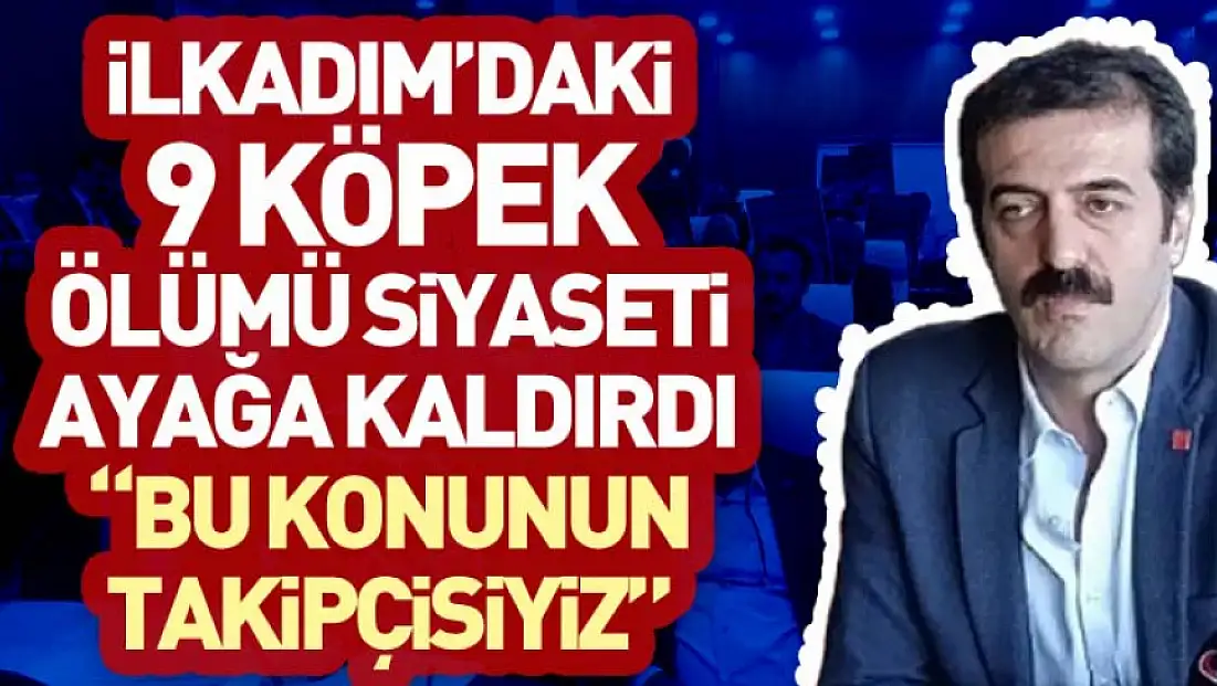 İlkadım’daki 9 Köpek Ölümü Siyaseti Ayağa Kaldırdı 'Bu konunun takipcisiyiz'