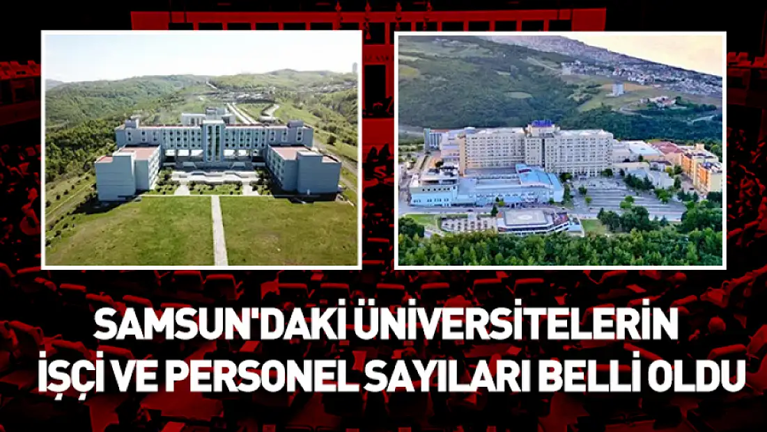 Samsun'daki üniversitelerin personel sayıları belli oldu
