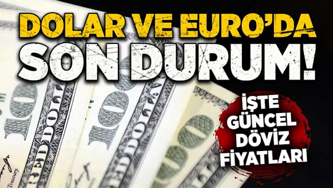 Serbest piyasada döviz fiyatları