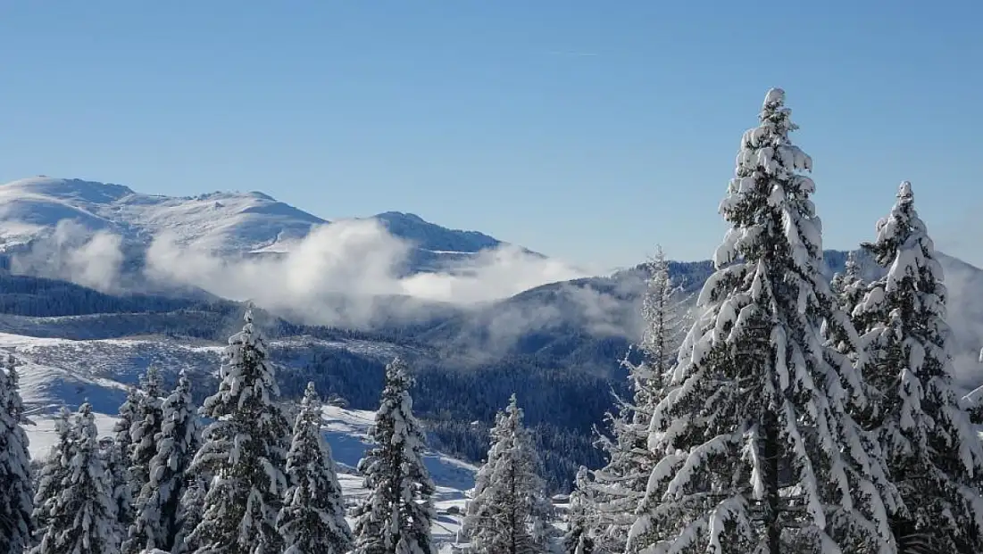 Ordu'da kartpostallık kar manzaraları