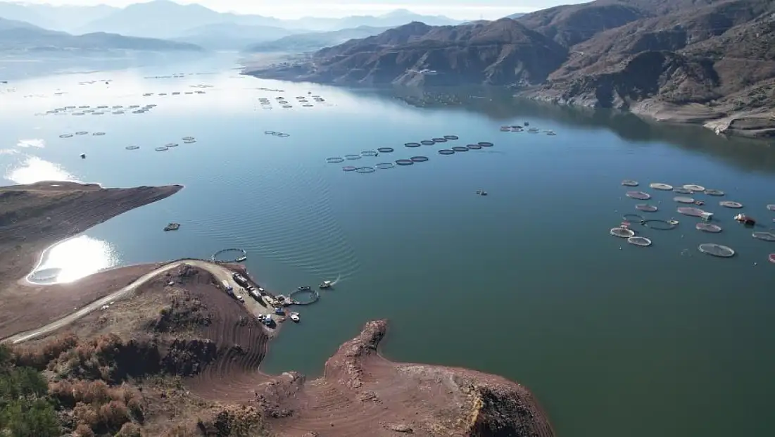 Tokat’ın somonları dünya sofralarına ulaşıyor