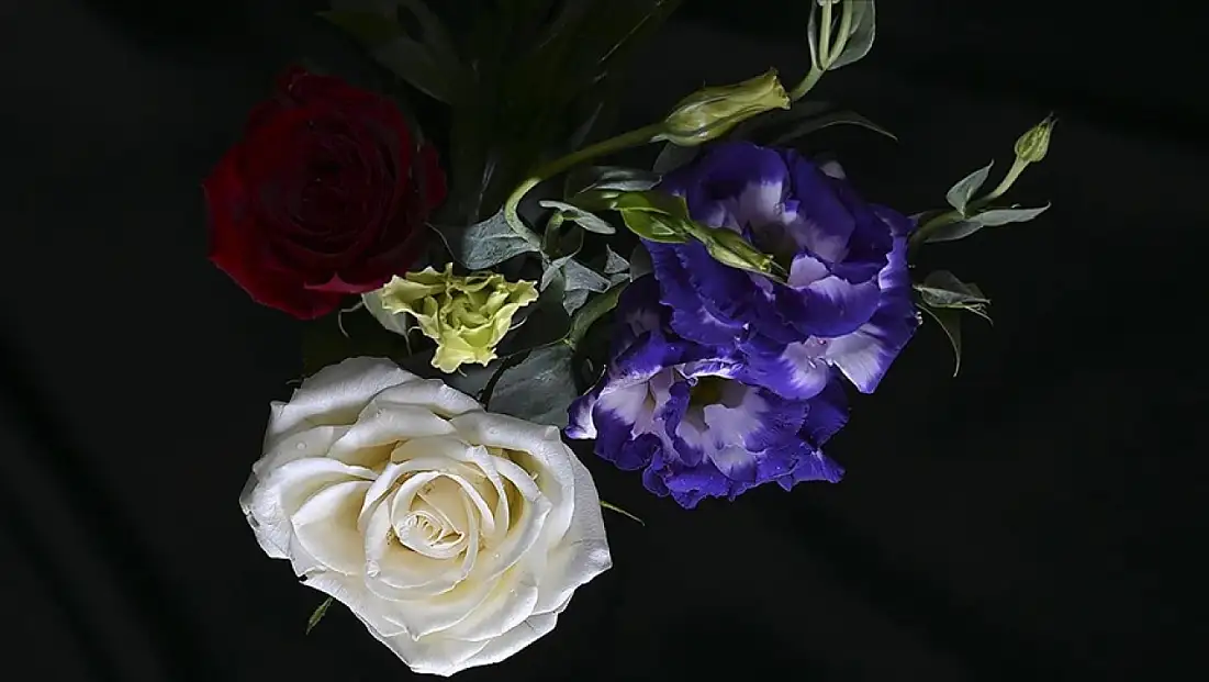 Türkiye’den yılbaşı için 12 milyon dolarlık çiçek ihracatı