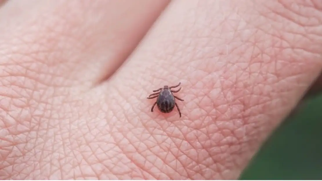 Biyolojik saldırı mı?