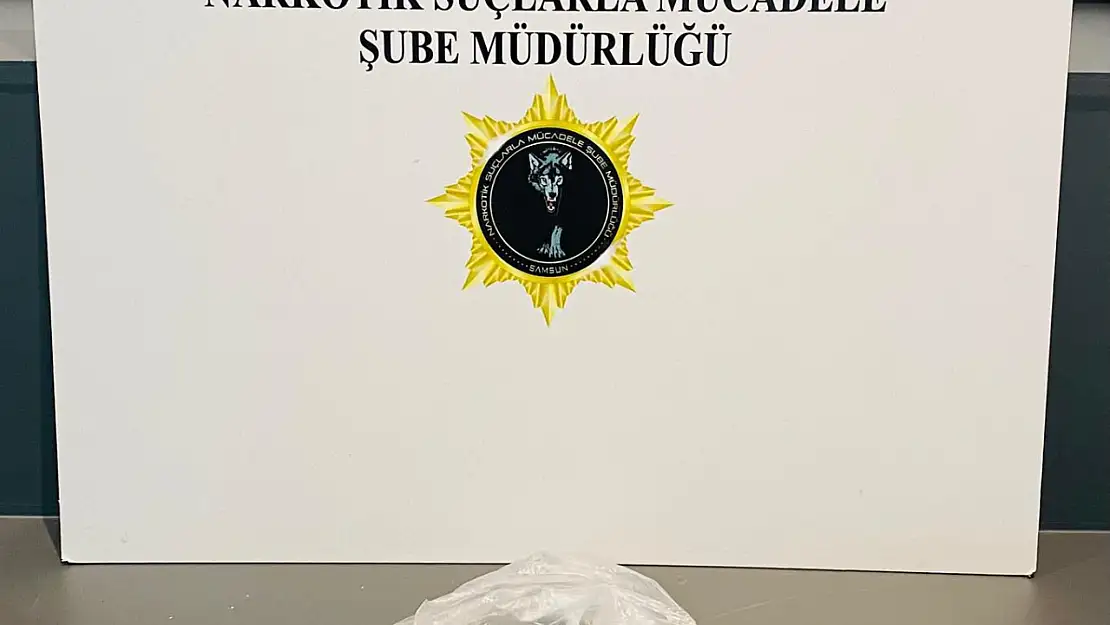 Dedektör Köpek Hektör Samsun'da Operasyona Damga Vurdu