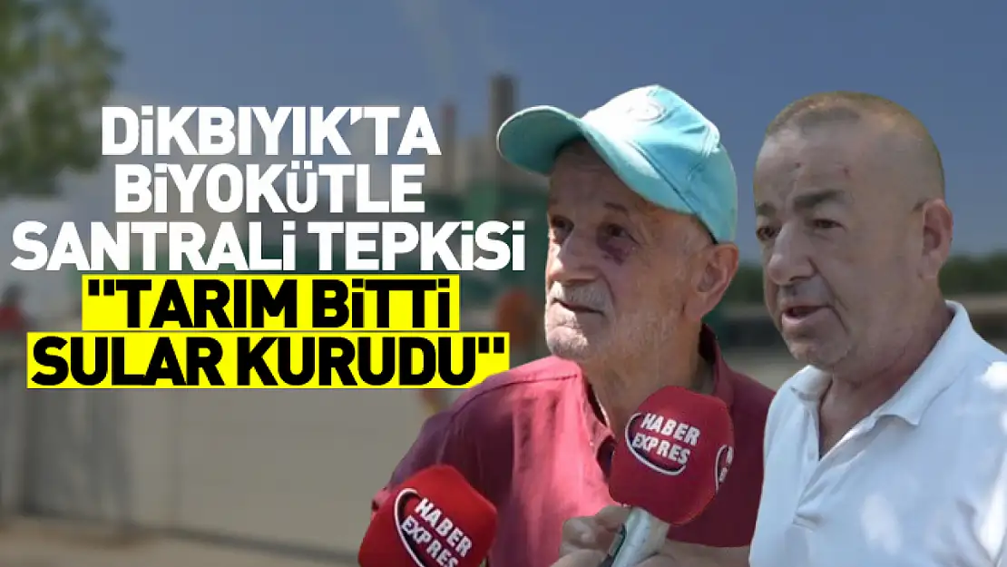 Dikbıyık'ta Biyokütle Santrali Tepkisi: