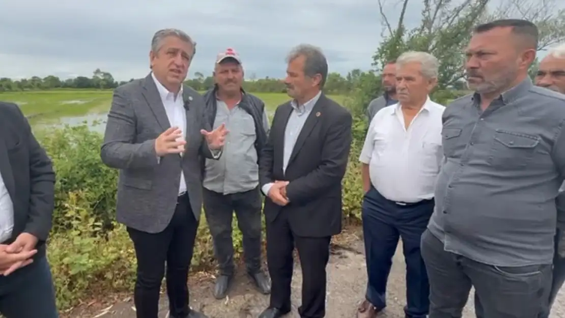 DSİ'nin Hatalı Projesi Terme'de Çeltik Üretimini Vurdu