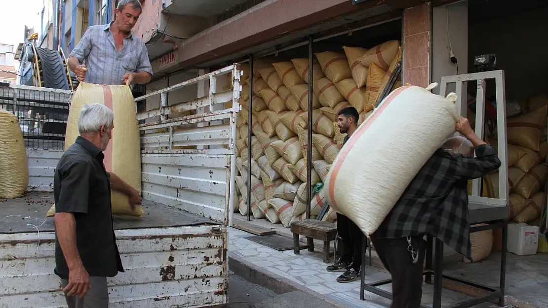 Fındıkta Avrupa Talebi Düştü, Gözler Yeniden Artışta