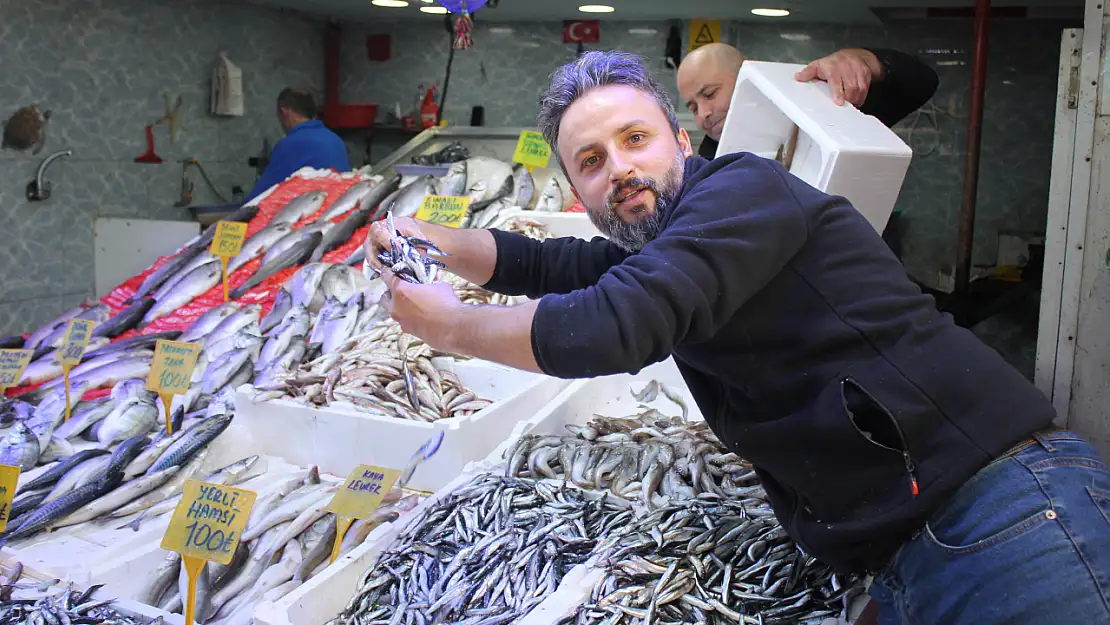 Hamsi Bolluğu Başladı 'Fiyatlar Yarı Yarıya Düştü'