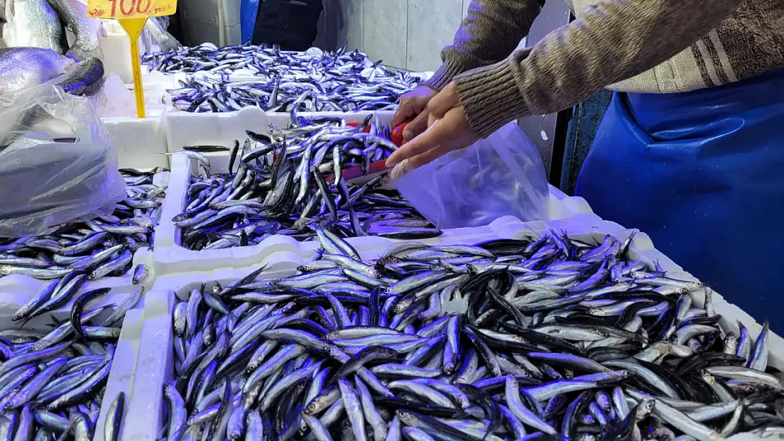 Karadeniz'de balık bolluğu başladı.. Hamsi kilosu 75 TL'den satıldı!
