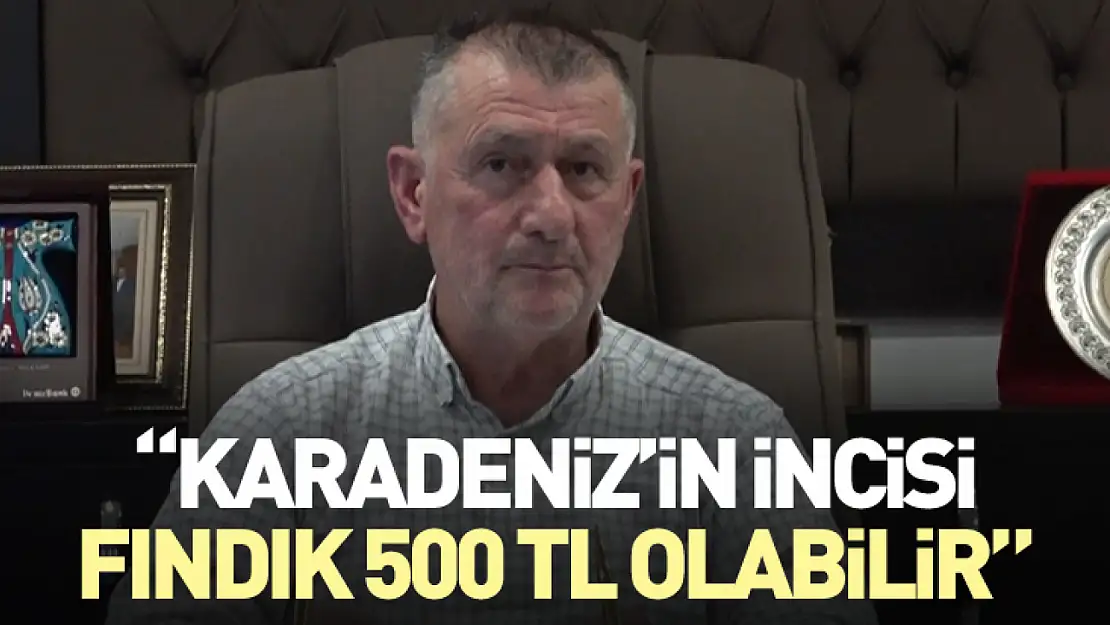 Karadeniz'in incisi fındık 500 TL olabilir