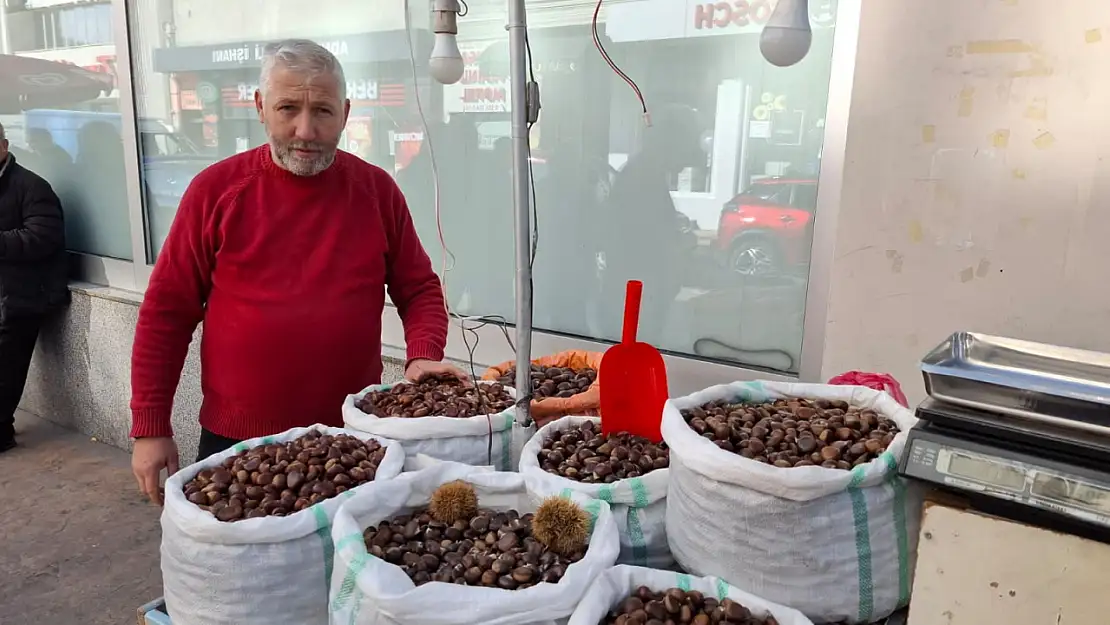 Kestane Sezonu Açıldı Peki iyi kestane nasıl anlaşılır
