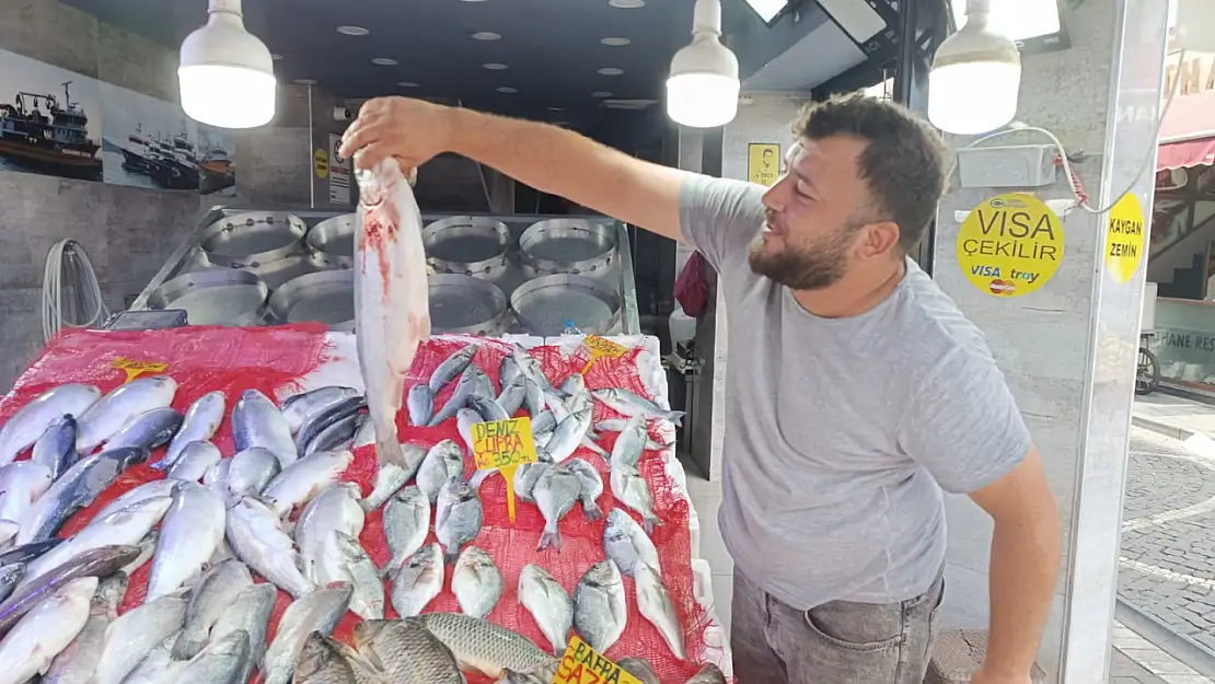 Samsun'da Balık Tavuğu Sollamak Üzere