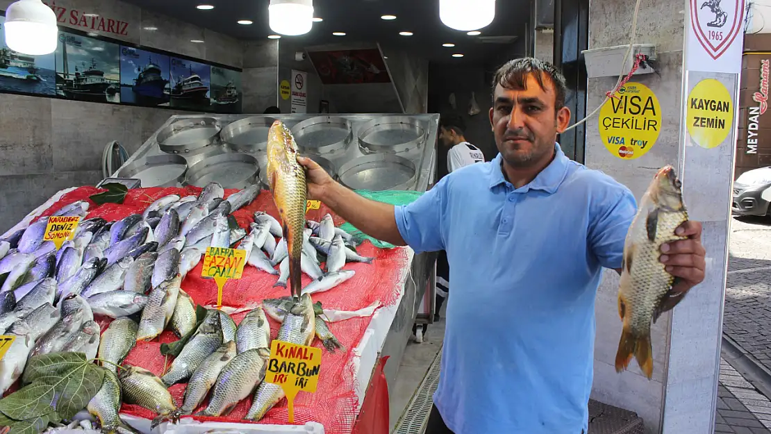 Samsunlu Balıkçılardan Müjde 'Bu Sene Hamsi Bolluğu Var'