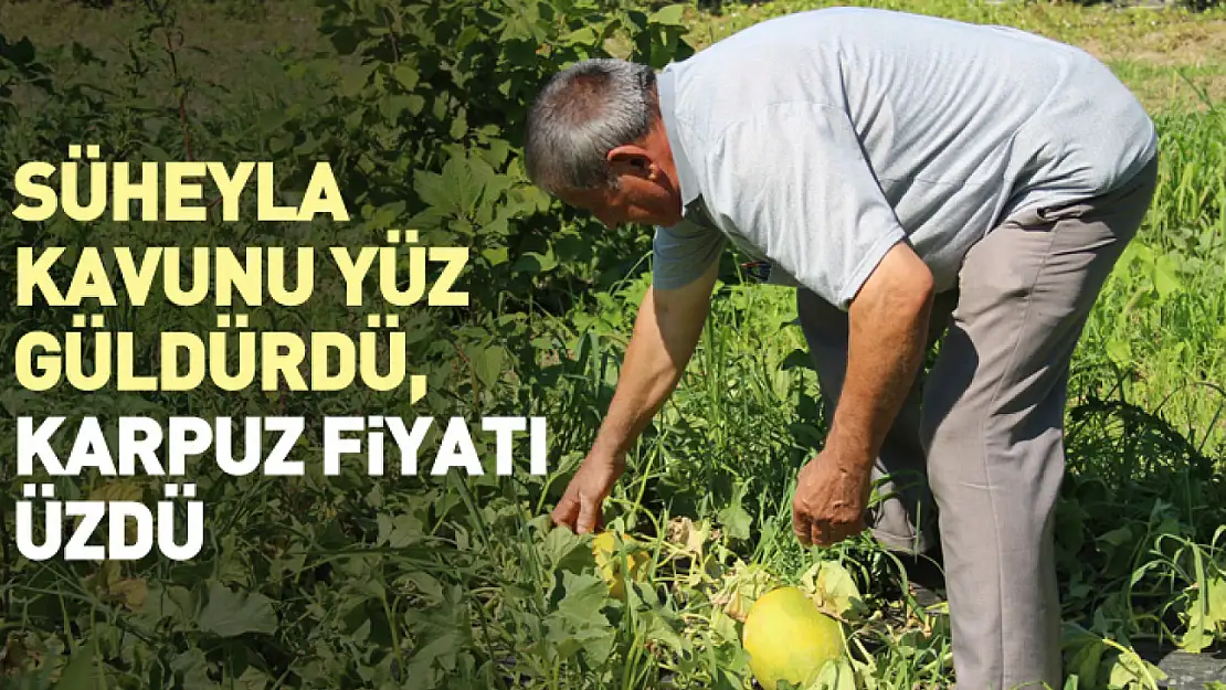 Süheyla Kavunu Yüz Güldürdü, Karpuz Fiyatı Üzdü