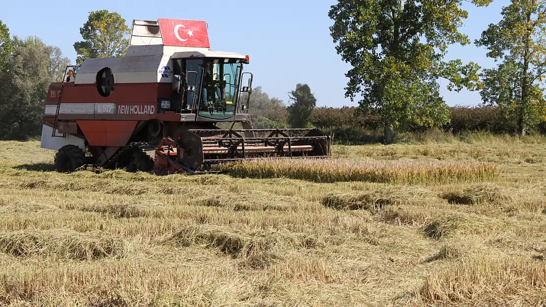 Tarlalarda biçerdöver sesleri yankılanıyor