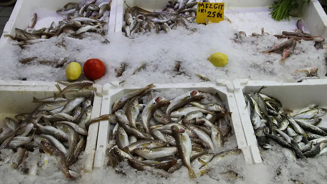Tezgahlar Balık sezonunu açtı!