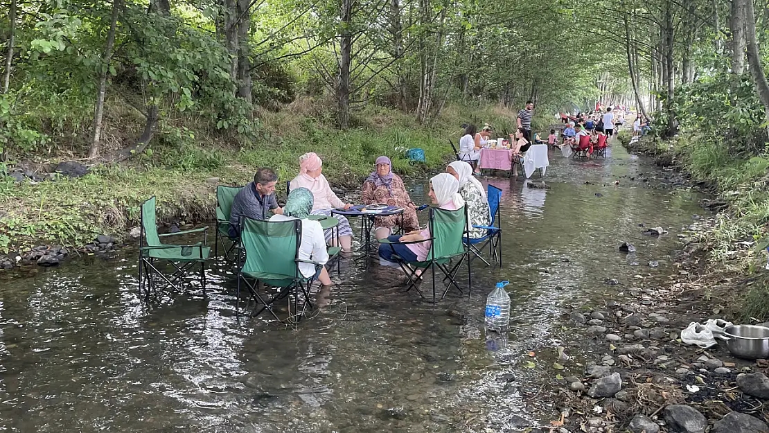 Yeşilin Kalbinde Saklı Cennet