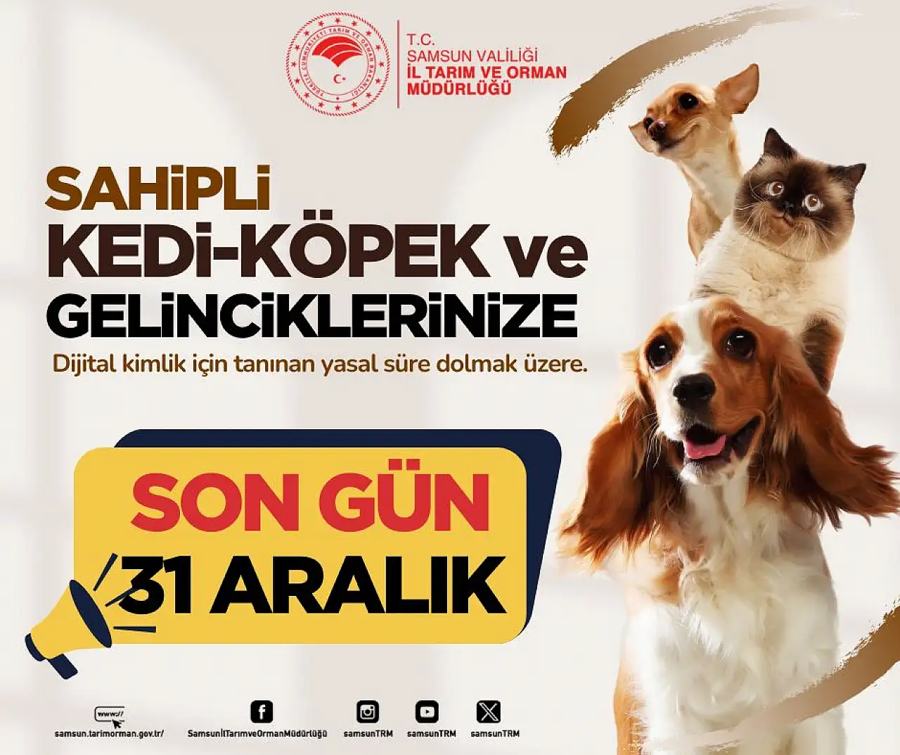 Evcil hayvan sahipleri dikkat! 31 Aralık'ta sona eriyor