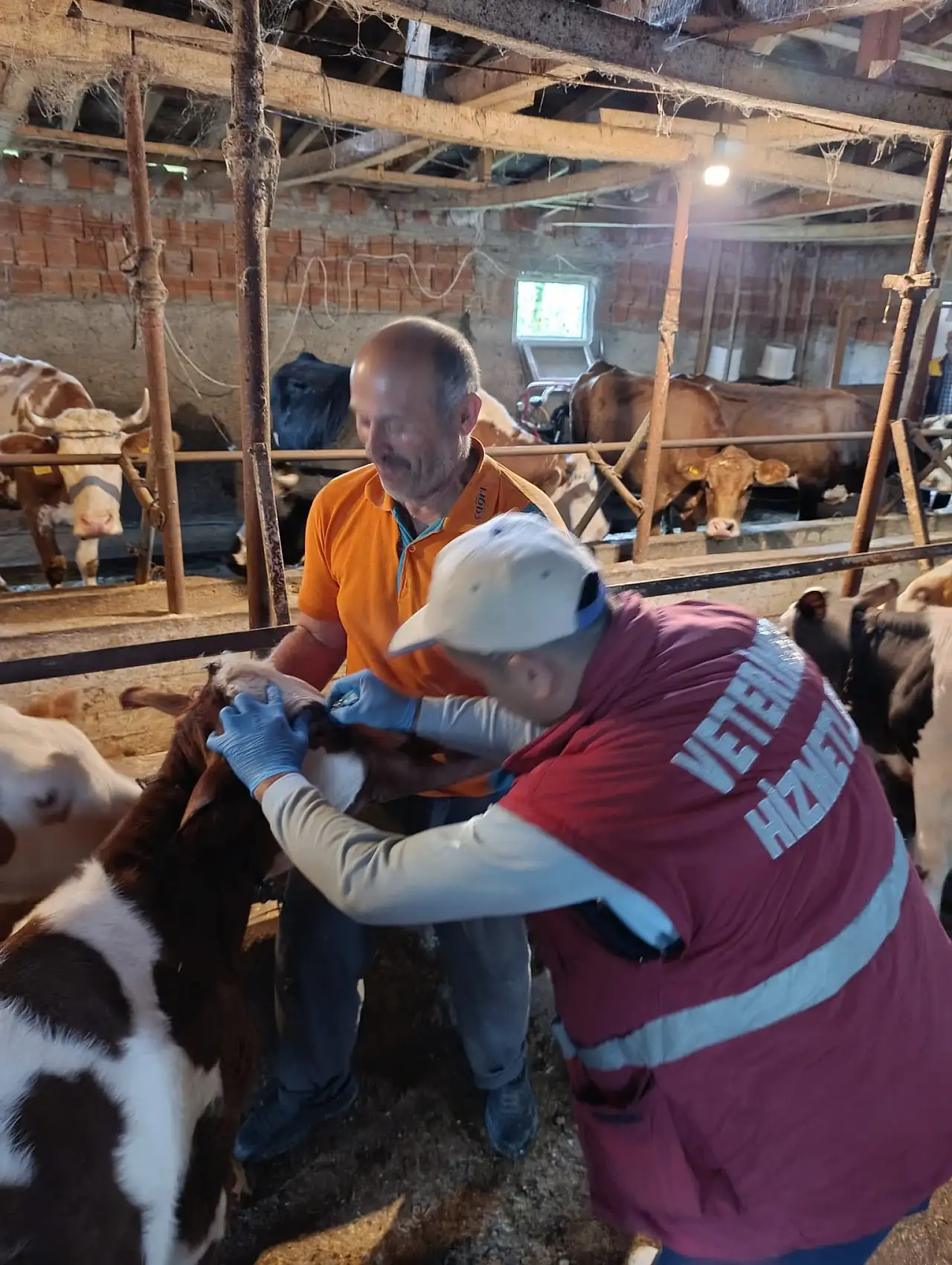 İlçe tarım personelleri sahada