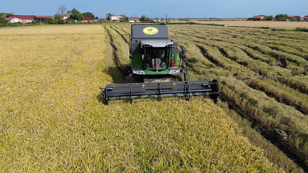 Bafra Ovası'nda Çeltik Üreticisinin Yüzünü Güldüren Sır Ne?