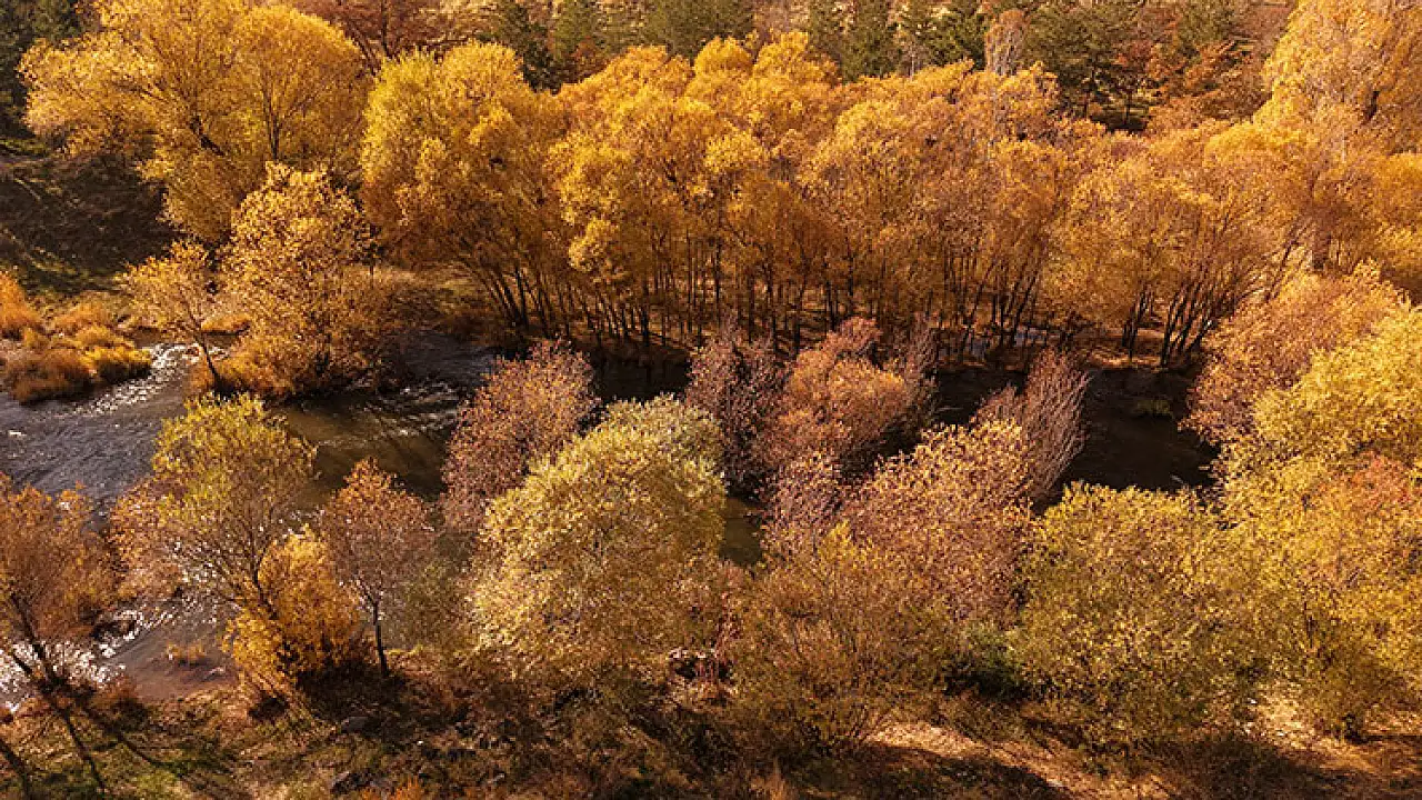 Van'daki İnci Kefali Tabiat Parkında Renk Cümbüşü