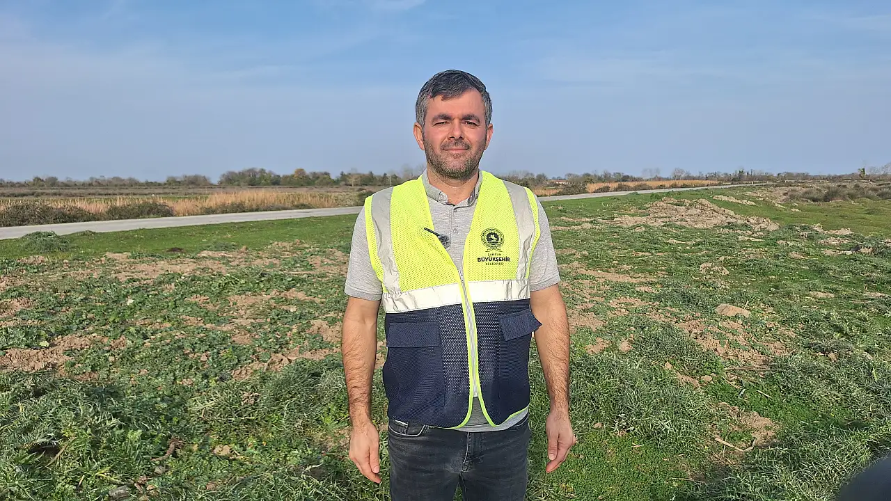 Samsun'da Kuş Cenneti Sonbaharla Birlikte Yeniden Canlandı