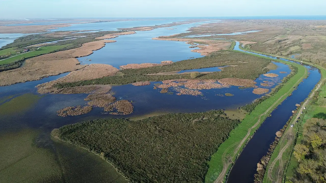 Samsun'da Kuş Cenneti Sonbaharla Birlikte Yeniden Canlandı