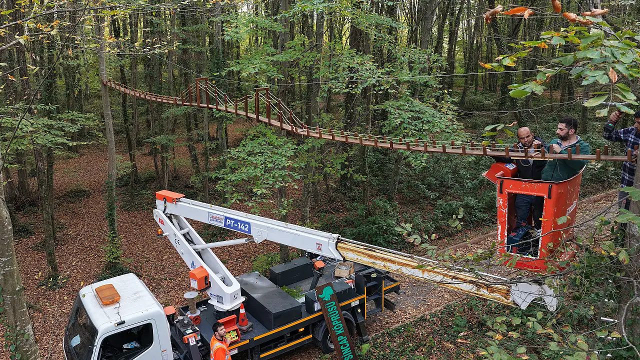 Terme Kent Ormanı'na Sincap Köprüleri Kuruldu