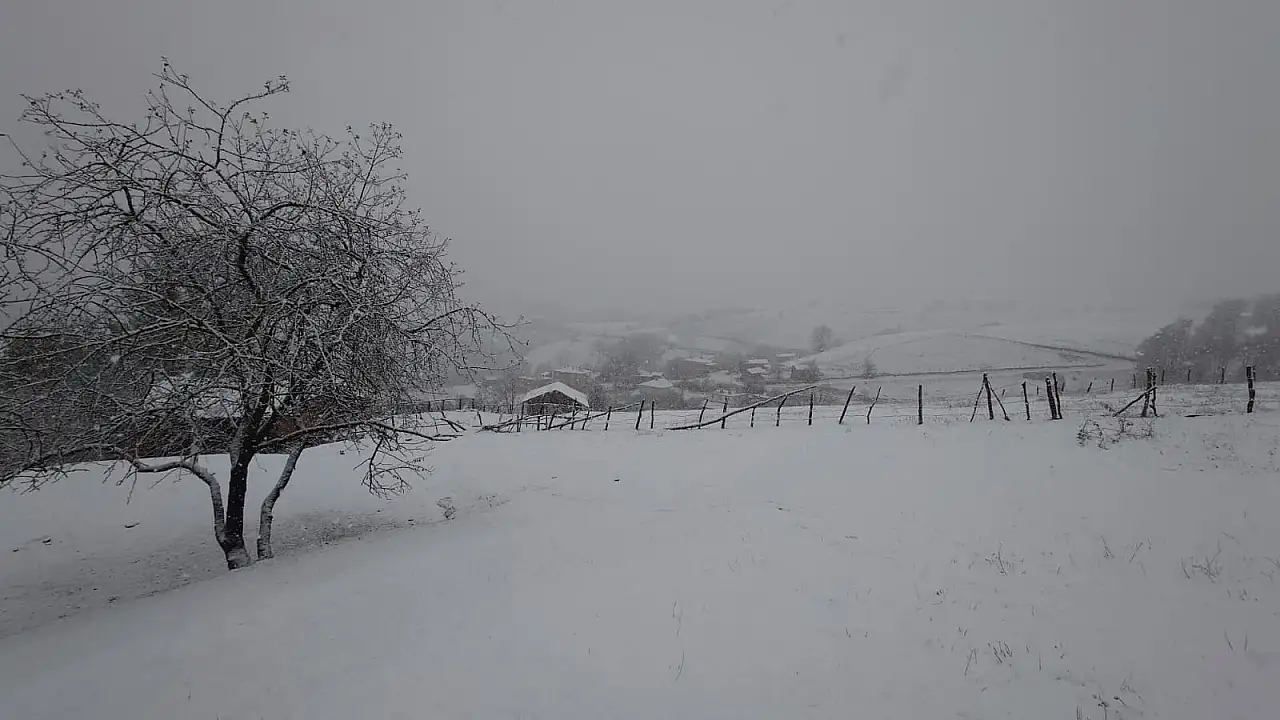 Asarcık ilçesi beyaza büründü