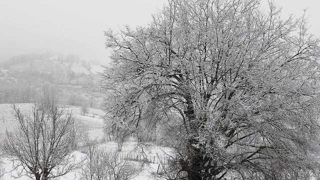 Asarcık ilçesi beyaza büründü