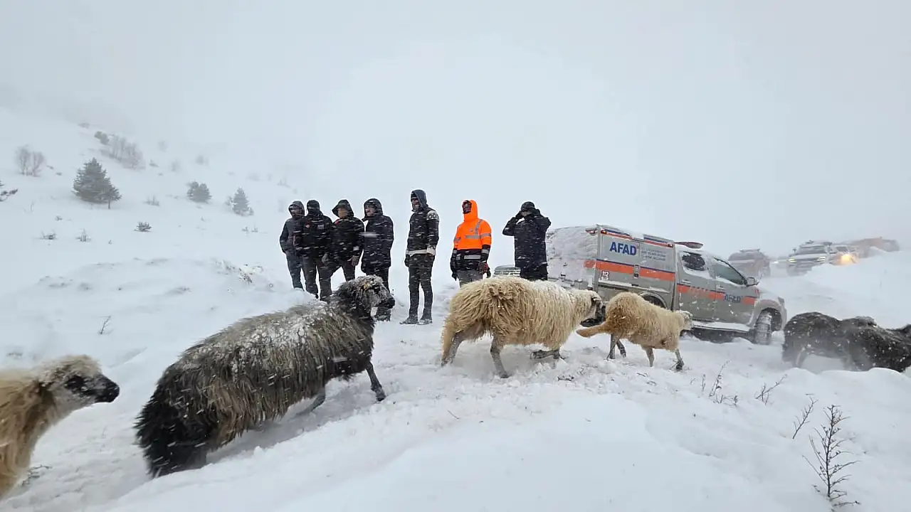 Artvin'de Acı Haber
