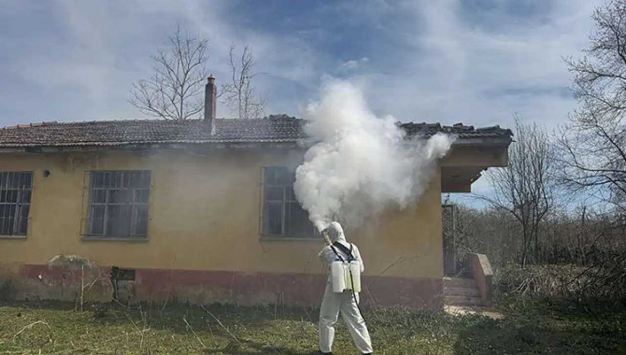 Samsun'da kahverengi kokarca çıkmazı: Tüm çabalara rağmen tehdit sürüyor