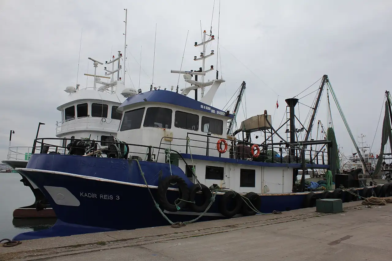 'Santim yasağı' balıkçıyı limana bağladı: 'Batı karadeniz istavrit dolu kimse avlayamıyor'