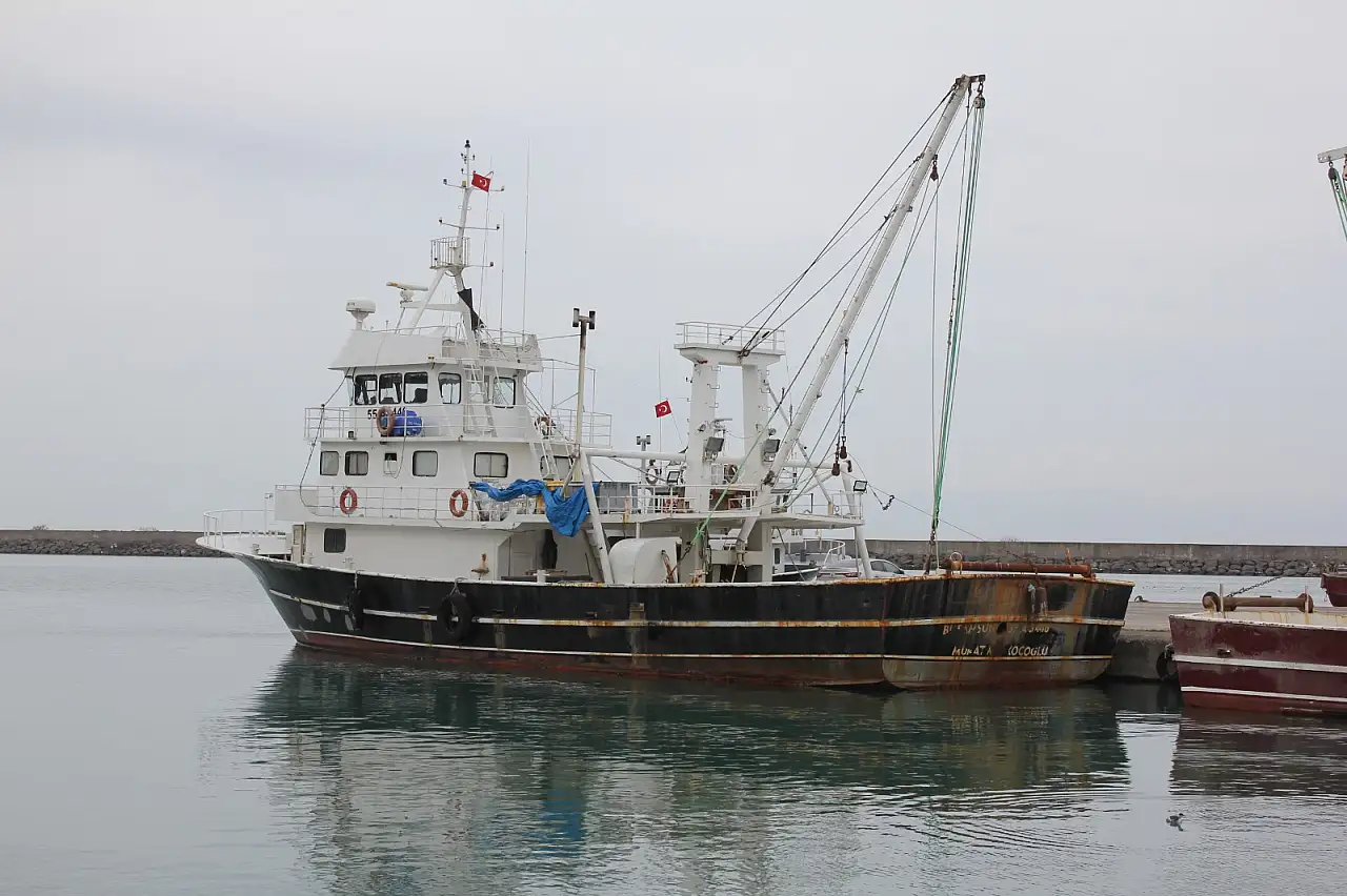 'Santim yasağı' balıkçıyı limana bağladı: 'Batı karadeniz istavrit dolu kimse avlayamıyor'