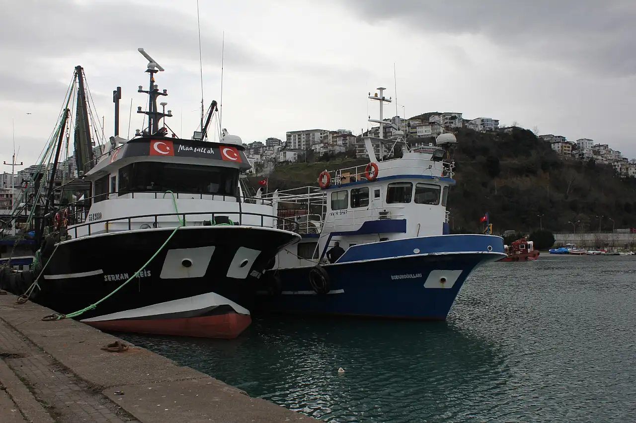 'Santim yasağı' balıkçıyı limana bağladı: 'Batı karadeniz istavrit dolu kimse avlayamıyor'