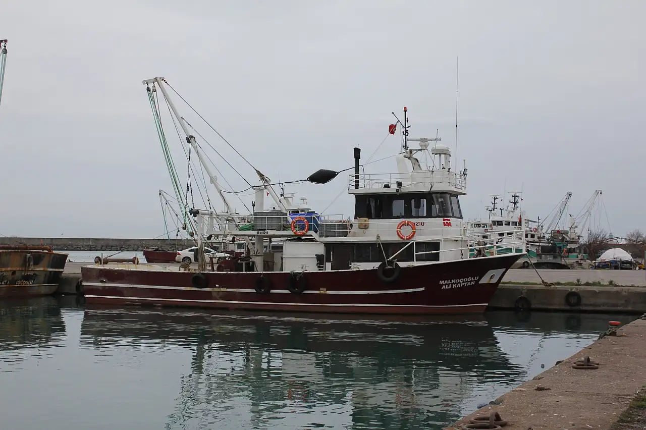 'Santim yasağı' balıkçıyı limana bağladı: 'Batı karadeniz istavrit dolu kimse avlayamıyor'